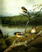 broderna von wrights bergfinkar china oil painting reproduction